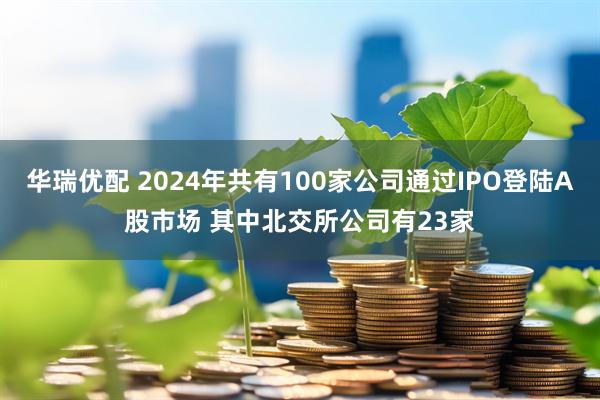 华瑞优配 2024年共有100家公司通过IPO登陆A股市场 其中北交所公司有23家