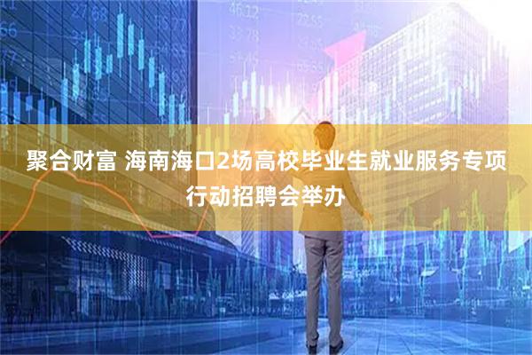 聚合财富 海南海口2场高校毕业生就业服务专项行动招聘会举办