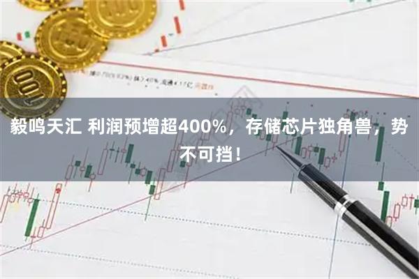 毅鸣天汇 利润预增超400%，存储芯片独角兽，势不可挡！