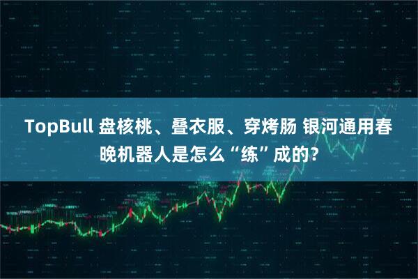 TopBull 盘核桃、叠衣服、穿烤肠 银河通用春晚机器人是怎么“练”成的？