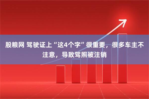 股粮网 驾驶证上“这4个字”很重要，很多车主不注意，导致驾照被注销