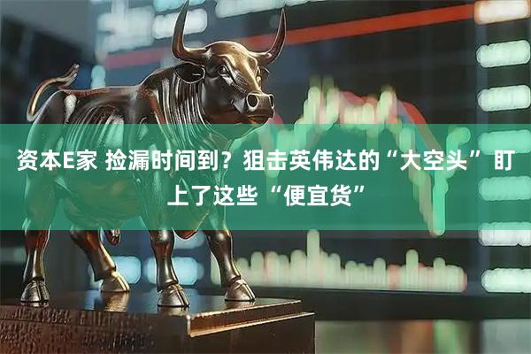 资本E家 捡漏时间到？狙击英伟达的“大空头” 盯上了这些 “便宜货”