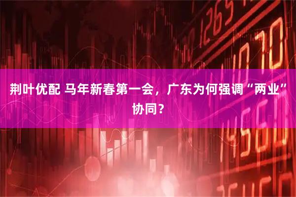 荆叶优配 马年新春第一会，广东为何强调“两业”协同？