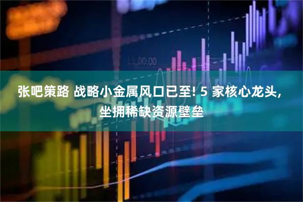 张吧策路 战略小金属风口已至! 5 家核心龙头, 坐拥稀缺资源壁垒
