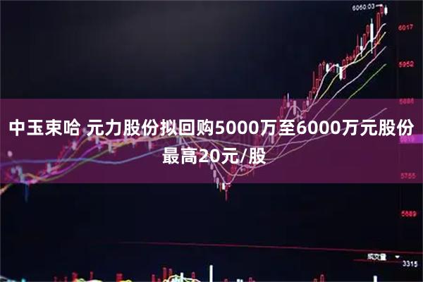 中玉束哈 元力股份拟回购5000万至6000万元股份 最高20元/股